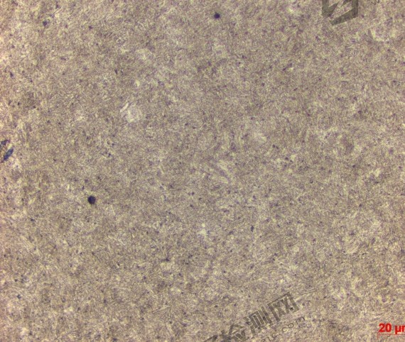 1722395894914589.png 金相测试2.png