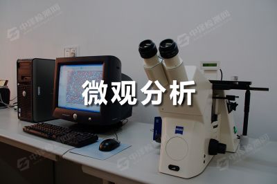 微观分析