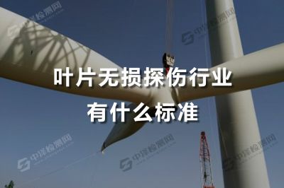 叶片无损探伤行业有什么标准，百色无损探伤出报告的公司