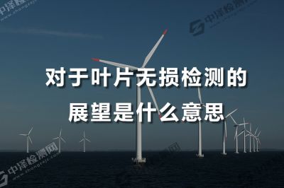 对于叶片无损检测的展望是什么意思